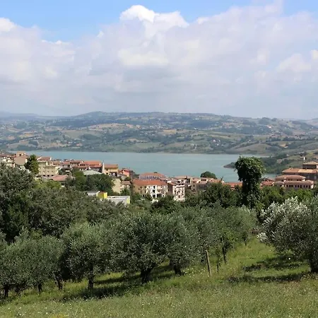 Diffuso Di