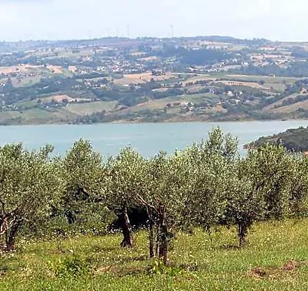 Diffuso Di מלון Campolattaro